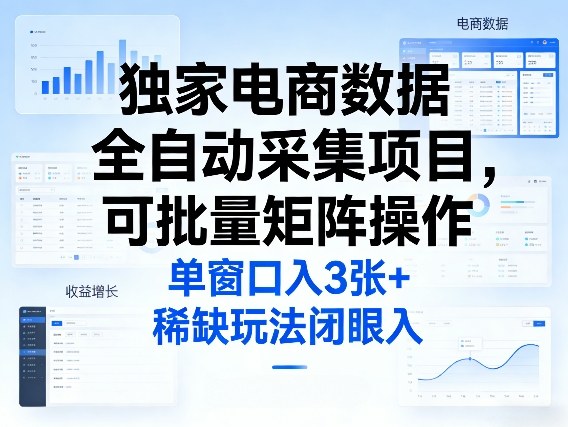 独家电商数据全自动采集项目，可批量矩阵操作，单窗口日入3张+，稀缺玩法闭眼入【揭秘】-稀缺资源库