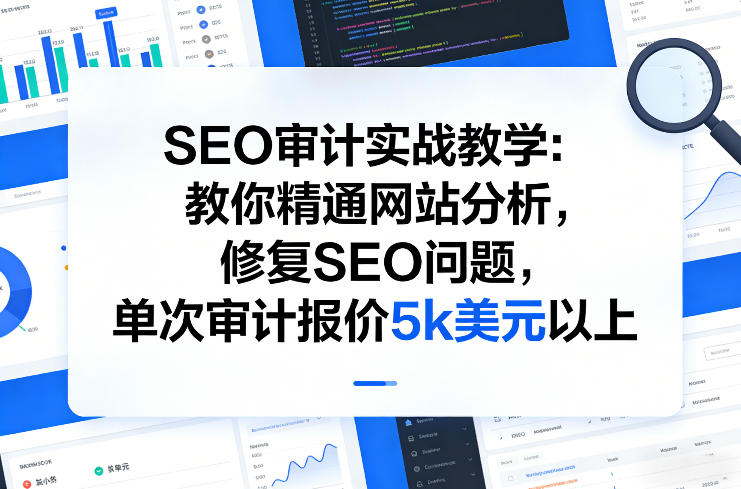 SEO审计实战教学：教你精通网站分析，修复SEO问题，单次审计报价5k美元以上-稀缺资源库