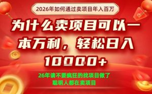 一单净利润1K+,26年想年入100个W,死磕卖项目就够了【揭秘】-稀缺资源库