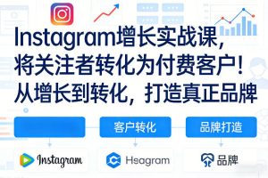 Instagram增长实战课，将关注者转化为付费客户！从增长到转化，打造真正品牌（双语字幕）-稀缺资源库