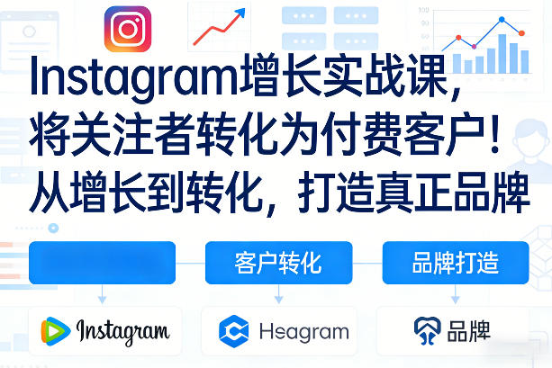 Instagram增长实战课，将关注者转化为付费客户！从增长到转化，打造真正品牌（双语字幕）-稀缺资源库