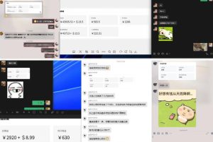 雷神加速器项目模拟器_无脑1分钟1条视频矩阵_疯狂报单打法【焚诀】-稀缺资源库