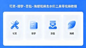 可灵–即梦–豆包–海螺视频去水印工具带视频教程-稀缺资源库