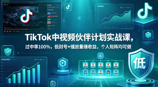 TikTok中视频伙伴计划实战课，过中率100%，低封号+播放量賺收益，个人矩阵均可做-稀缺资源库