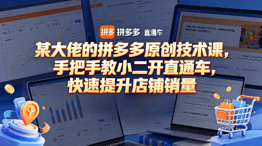 某大佬的拼多多原创技术课，手把手教小二开直通车，快速提升店铺销量-稀缺资源库