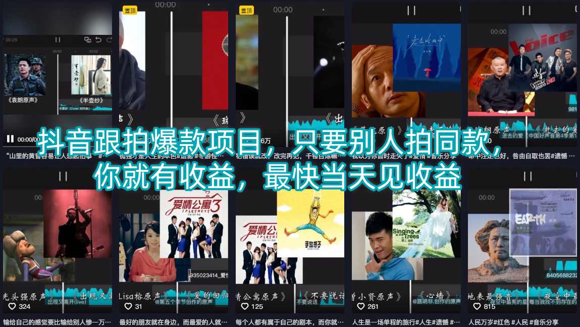抖音跟拍爆款项目，只要别人拍同款，你就有收益，最快当天见收益-稀缺资源库