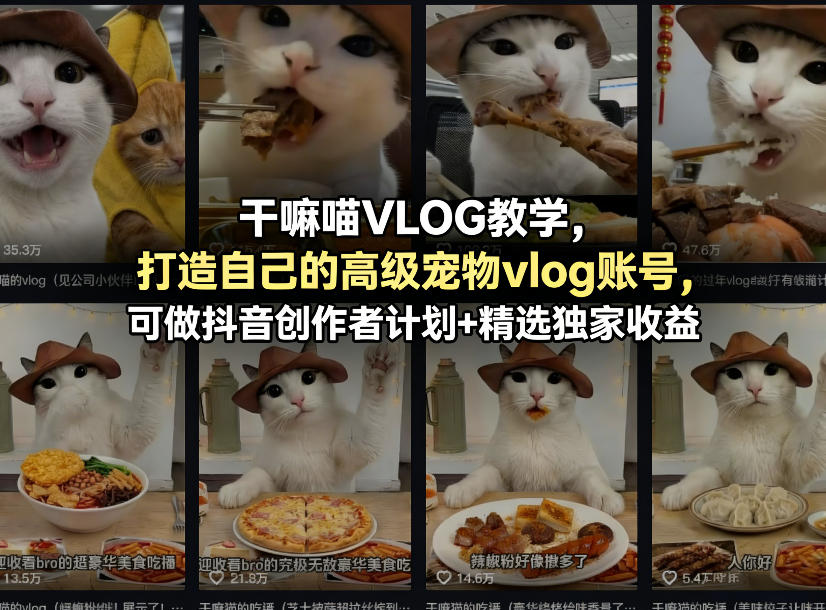干嘛喵VLOG教学，打造自己的高级宠物vlog账号，可做抖音创作者计划+精选独家收益-稀缺资源库
