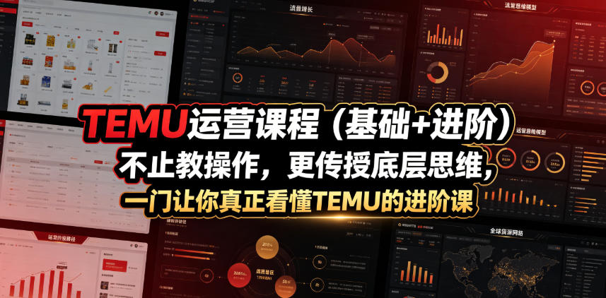 TEMU运营课程（基础+进阶），不止教操作，更传授底层思维，一门让你真正看懂TEMU的进阶课-稀缺资源库