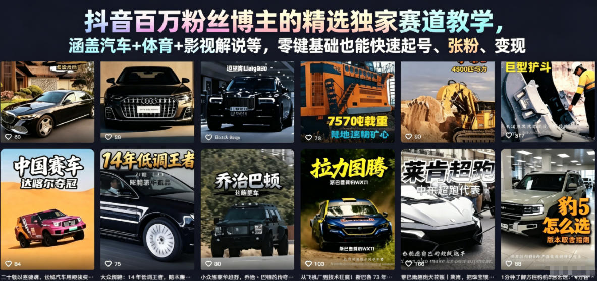 抖音百万粉丝博主的精选独家赛道教学，涵盖汽车+体育+影视解说等，零基础也能快速起号、涨粉、变现-稀缺资源库