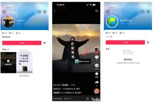 最强抖音引流-隐藏式暂停跳钩子，效果自测-稀缺资源库