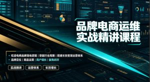 品牌电商运维实战精讲课程｜吃透电商品牌落地逻辑、穿越行业周期、搭建长效变现运营体系-稀缺资源库