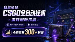 自营项目：CSGO全自动挂G，游戏搬砖捡漏，软件科技简单易用，长期稳定，小白单日300+利润【揭秘】-稀缺资源库