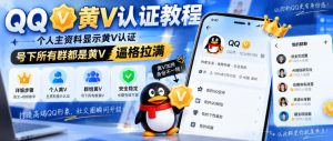 QQ黄V认证教程，个人主资料显示黄V认证，号下所有群都是黄V，逼格拉满-稀缺资源库
