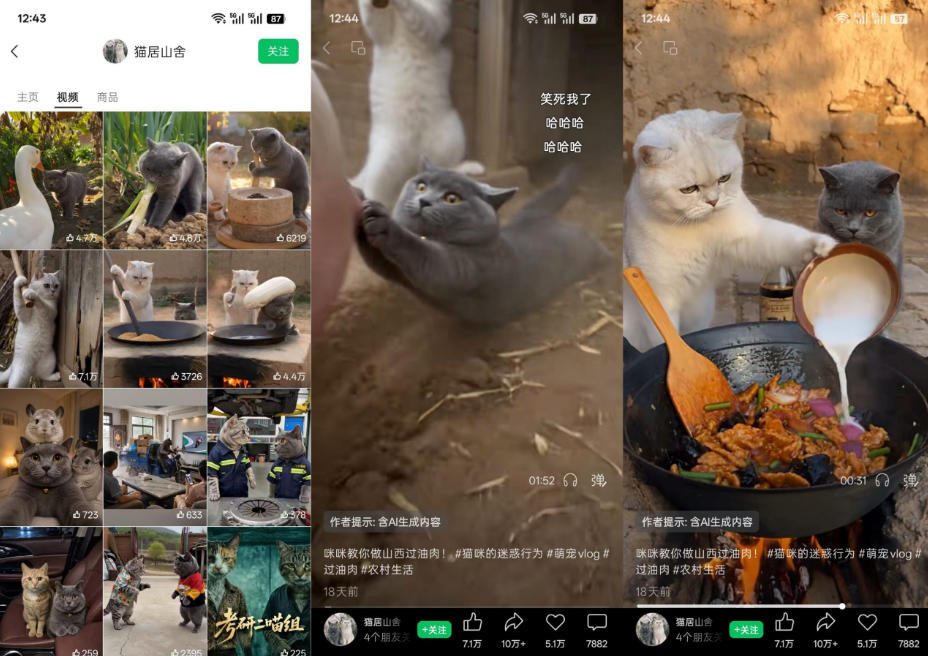 猫咪慢生活短视频教学，AI搞笑萌宠赛道，视频号分成+精选独家+伙伴计划+商单收徒等多种变现方式-稀缺资源库