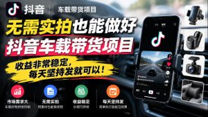 无需实拍也能做好抖音车载带货项目，收益非常稳定，每天坚持发就可以！-稀缺资源库