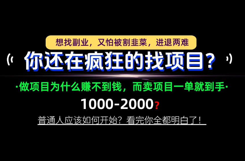你还在疯狂的找项目？别傻了！卖项目才是真正的一本万利！怎么做，看完你全都明白！【揭秘】-稀缺资源库