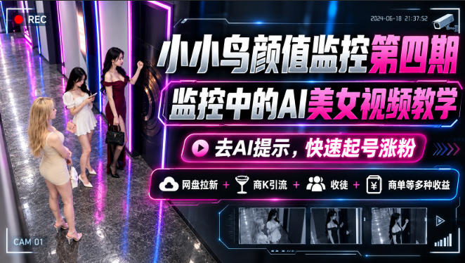 小小鸟颜值监控第四期，监控中的AI美女视频教学，去AI提示，快速起号涨粉，网盘拉新+商K引流+收徒+商单等多种收益-稀缺资源库