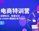美团电商特训营:美团·店群玩法,无脑铺货月产出6000-15000+精细化月产2w+-稀缺资源库