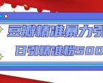 豆瓣精准暴力引流,日引精准粉500+【12课时】-稀缺资源库