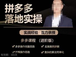 拼多多实战篇·落地实操:多多操作完整思路+实操案例讲解+拆解操作思路+复杂的算法简单化-稀缺资源库