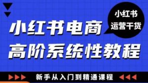 小红书电商高阶系统教程，新手从入门到精通系统课-稀缺资源库