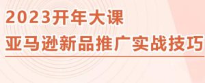2023亚马逊新品推广实战技巧，线下百万美金课程的精简版，简单粗暴可复制，实操性强的推广手段-稀缺资源库