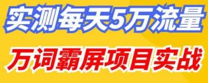 百度万词霸屏实操项目引流课，30天霸屏10万关键词-稀缺资源库