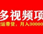 多多带货视频快速50爆款拿带货资格，搬运带货，月入30000【全套脚本+详细玩法】-稀缺资源库