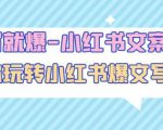 一写就爆-小红书文案课：带你玩转小红收爆文写作（45节课）-稀缺资源库