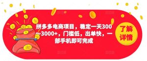 2023拼多多电商项目,稳定一天300~3000+,门槛低,出单快,一部手机即可完成-稀缺资源库