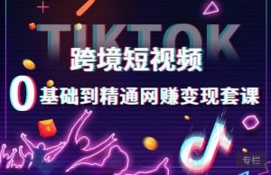 跨境短视频TIKTOK 0基础到精通网赚变现套课,跨境短视频独立站带货变现技巧-稀缺资源库