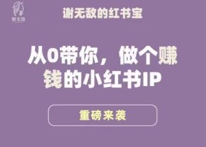 谢无敌·小红书运营大宝典,从0带你做个赚钱的小红书IP-稀缺资源库