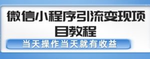 微信小程序引流变现项目教程，当天操作当天就有收益，变现不再是难事-稀缺资源库