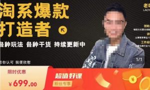 锋投老叶全店动销，淘系干货汇总，各种玩法，淘系爆款打造者-稀缺资源库