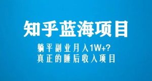 知乎蓝海玩法,躺平副业月入1W+,真正的睡后收入项目(6节视频课)-稀缺资源库