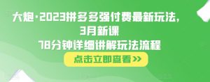 大炮·2023拼多多强付费最新玩法，3月新课​78分钟详细讲解玩法流程-稀缺资源库