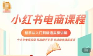 小红书电商新手入门到精通实操课,从入门到精通做爆款笔记,开店运营-稀缺资源库