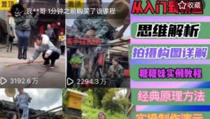 东方糖糖妹抖音短视频全套实战课思维+拍摄+剪辑+运营,从入门到精通-稀缺资源库