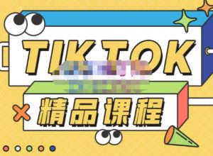 电商孵化中心·TikTok精品课程，教你玩转海外抖音，低成本创业，带您从0开始玩转TikTok-稀缺资源库