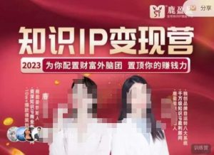 鹿盈盈-知识IP变现实操营，​普通人可复制的知识产品落地实操课，​带你打通知识IP变现底层逻辑-稀缺资源库
