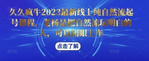 久久疯牛2023最新线上纯自然流起号课程，老杨是把自然流玩明白的人，可以闭眼上车-稀缺资源库