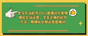 老马实战起号2023直播间全套精细化实战运营,学会正确的起号方式,精细化长期运营直播间-稀缺资源库