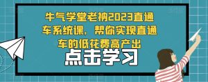 牛气学堂老衲2023直通车系统课，帮你实现直通车的低花费高产出-稀缺资源库