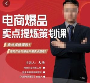 大圣·电商标品爆款卖点策划课，标品卖点成就爆款，可落地卖点提炼课-稀缺资源库