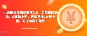 小说推文保姆式教学2.0，另类进阶玩法，0基础上手，轻松月撸1w无上限，可主可副可兼职-稀缺资源库