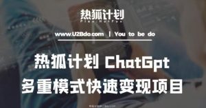 热狐计划：王大陆ChatGpt多重变现实操课，多种模式快速变现-稀缺资源库