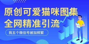 黑科技纯原创可爱猫咪图片，全网精准引流，实操5个VX号被加频繁-稀缺资源库