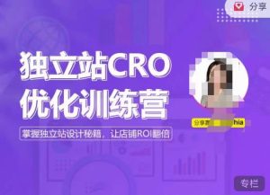独立站CRO优化训练营,掌握独立站设计秘籍,打造高转化的独立站,让店铺ROI翻倍-稀缺资源库