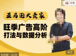 阿甘·亚马逊大卖家广告高阶打法与数据分析，走出传统广告误区；揭秘大卖惯用打法；数据驱动广告决策-稀缺资源库