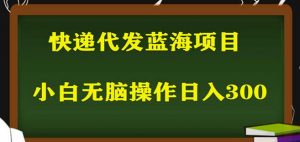 2023最新蓝海快递代发项目，小白零成本照抄也能日入300+-稀缺资源库